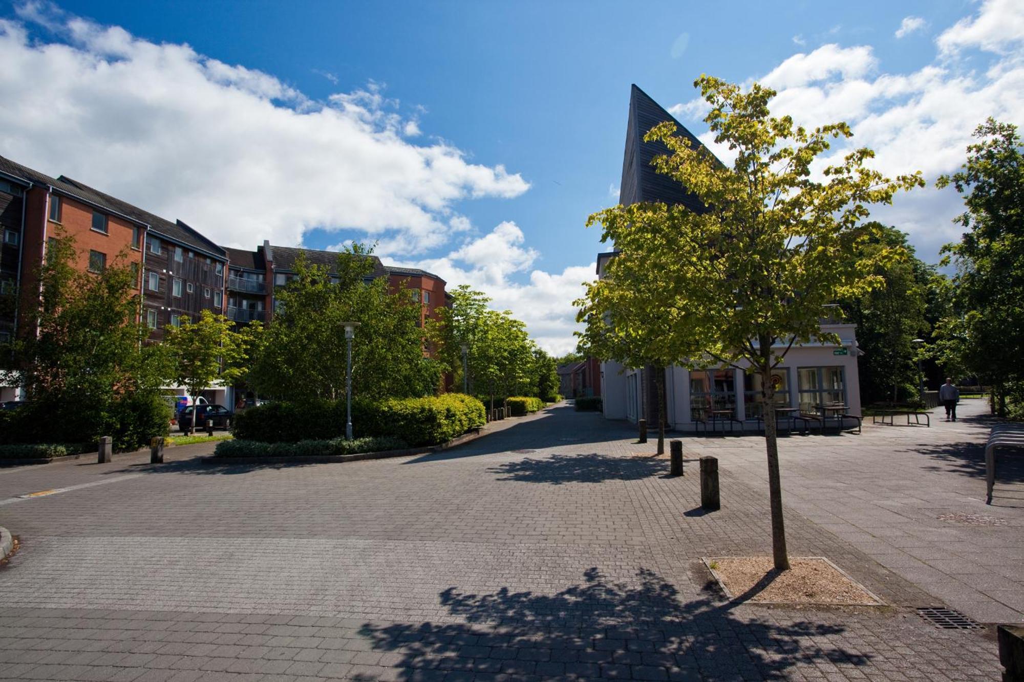 Dromroe Village University Of Limerick Junction Exterior foto